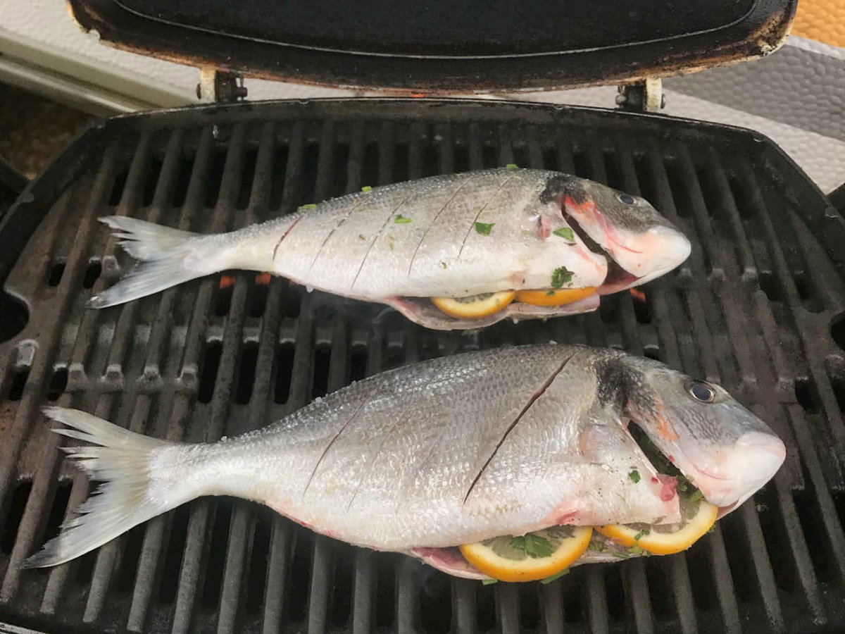 Dorade auf Gasgrill mit leckerem Campingrezept