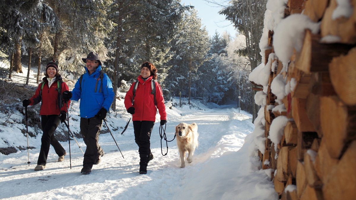 Wandern beim Wintercamping mit Hund im Hochschwarzwald
