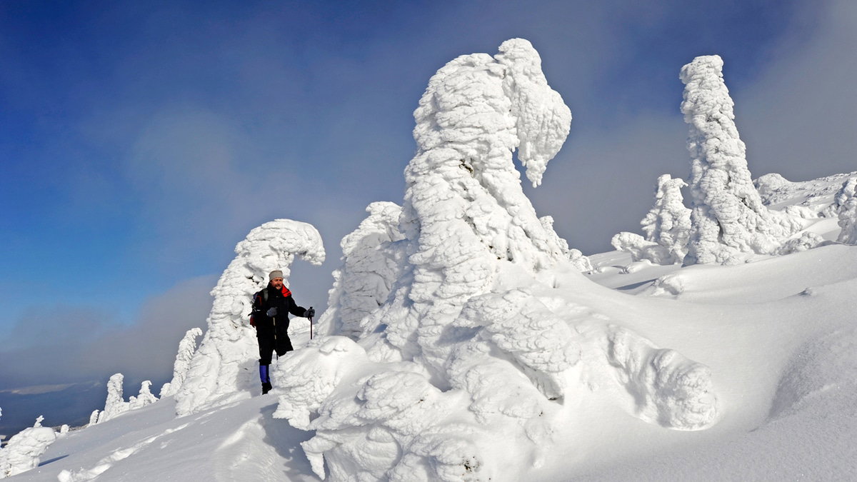 Wintercamping mit Hund in Oberbayern