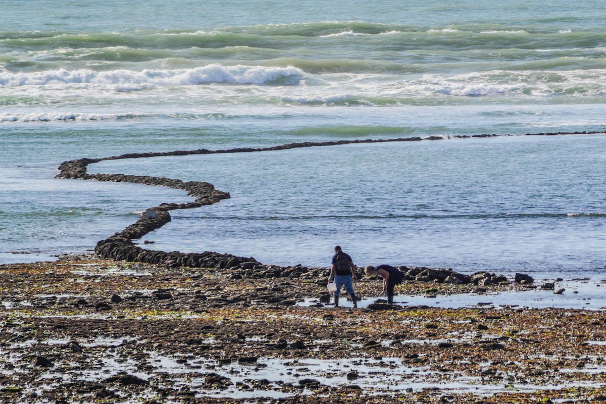 Fischschleuse auf der französischen Insel Ile d Oleron