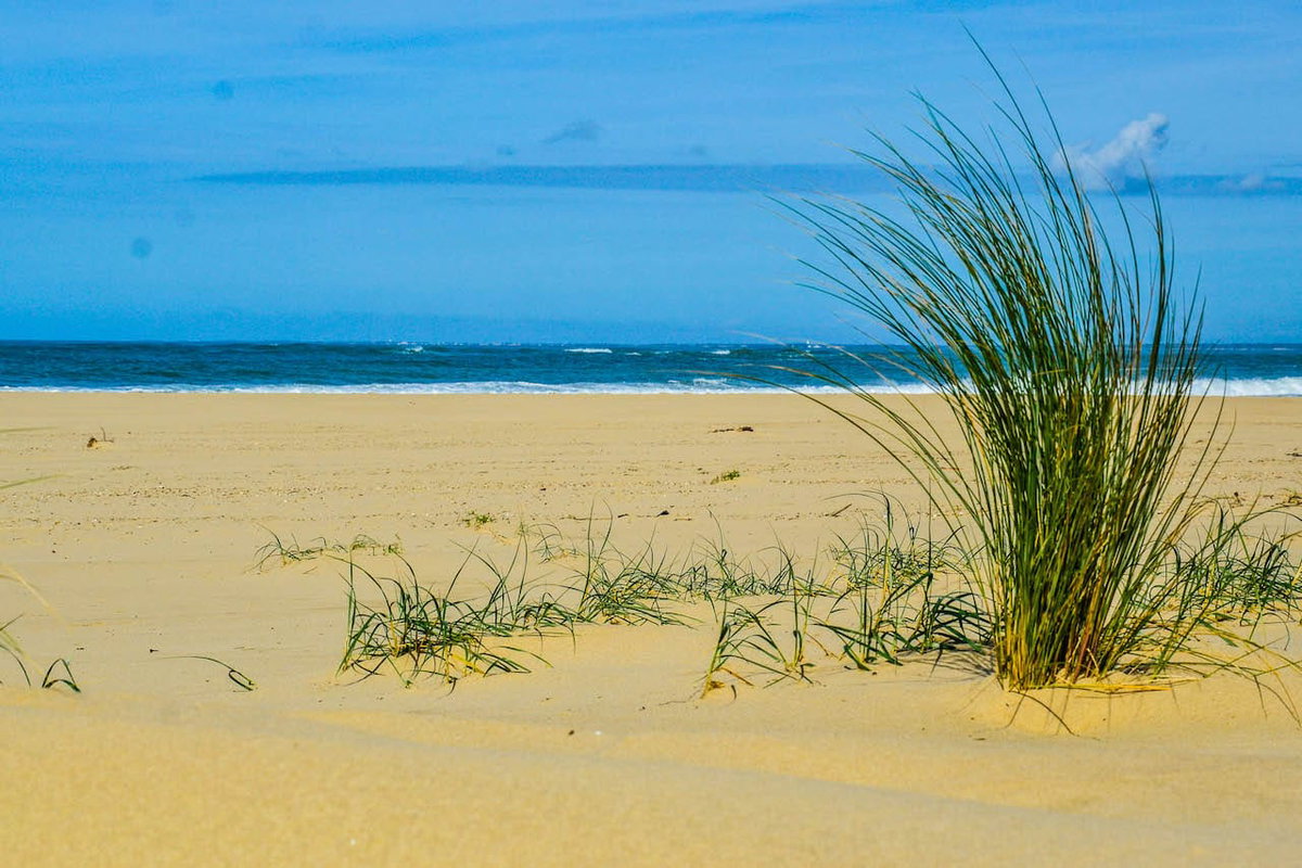 Französische Insel Île d’Oléron Strand
