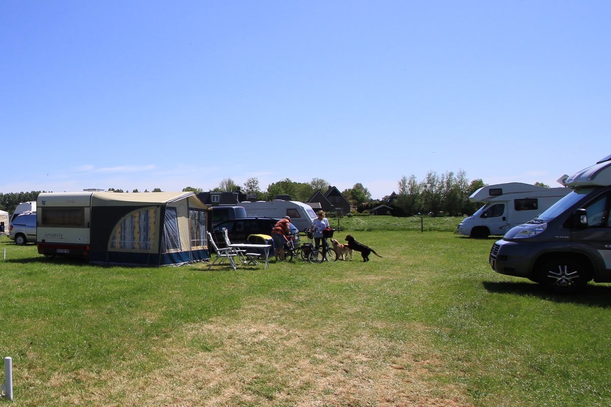 Hundefreundlicher Campingplatz Niederlande Seleantsje
