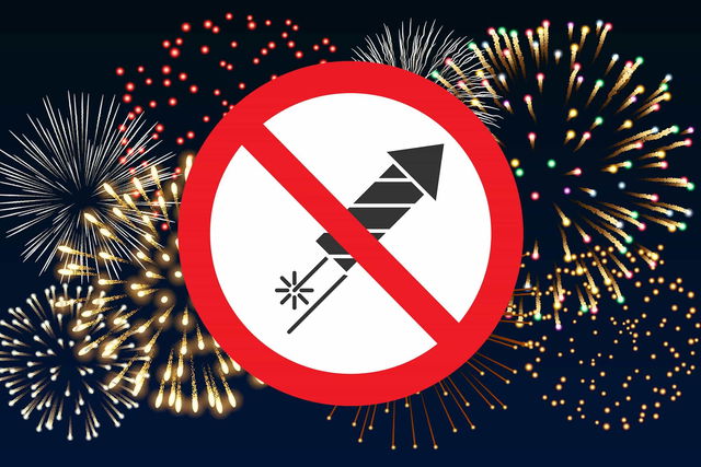 New Year's Eve with a dog: firecracker-free campsites and tips for less stress