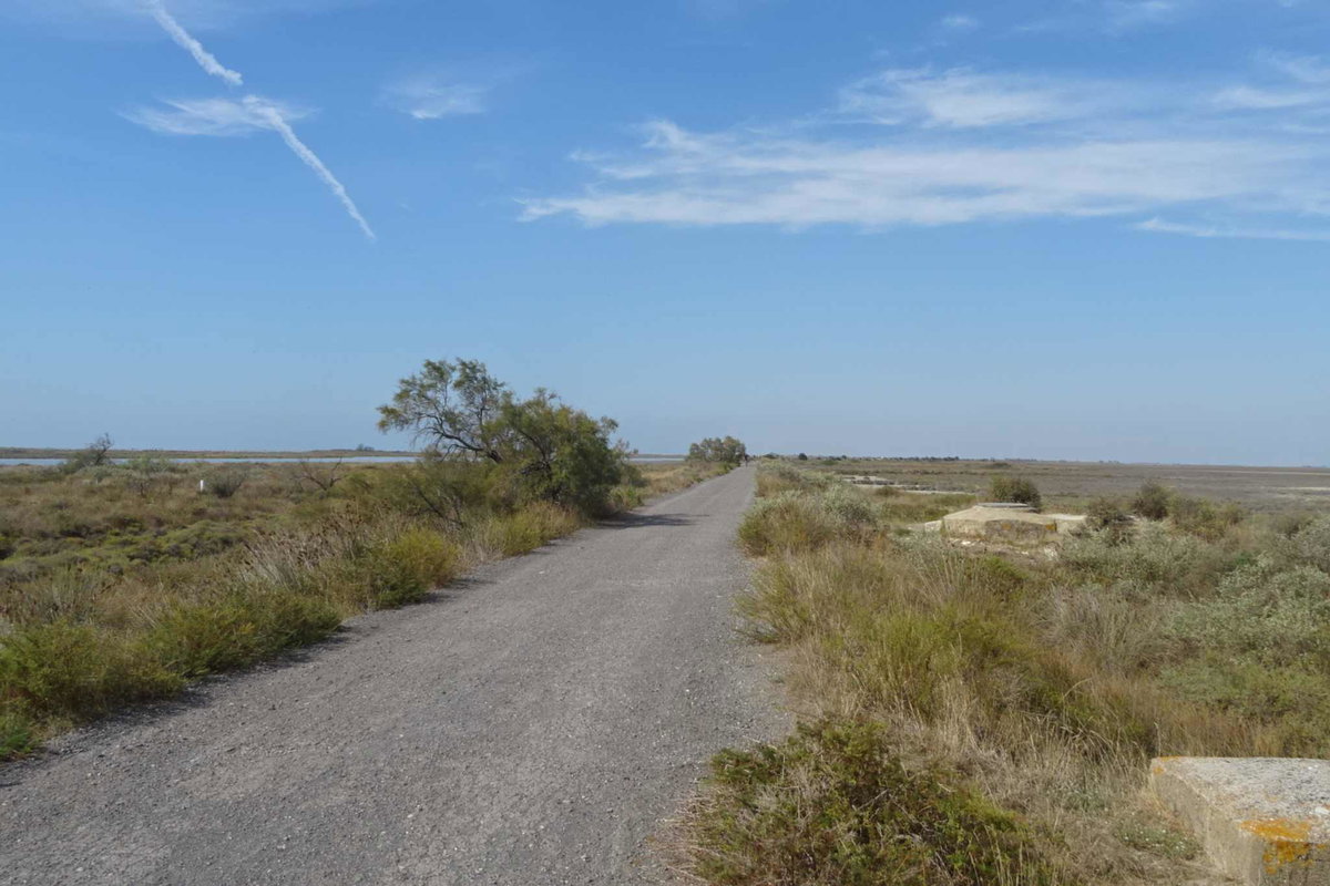 Camargue Camping - Bike tour