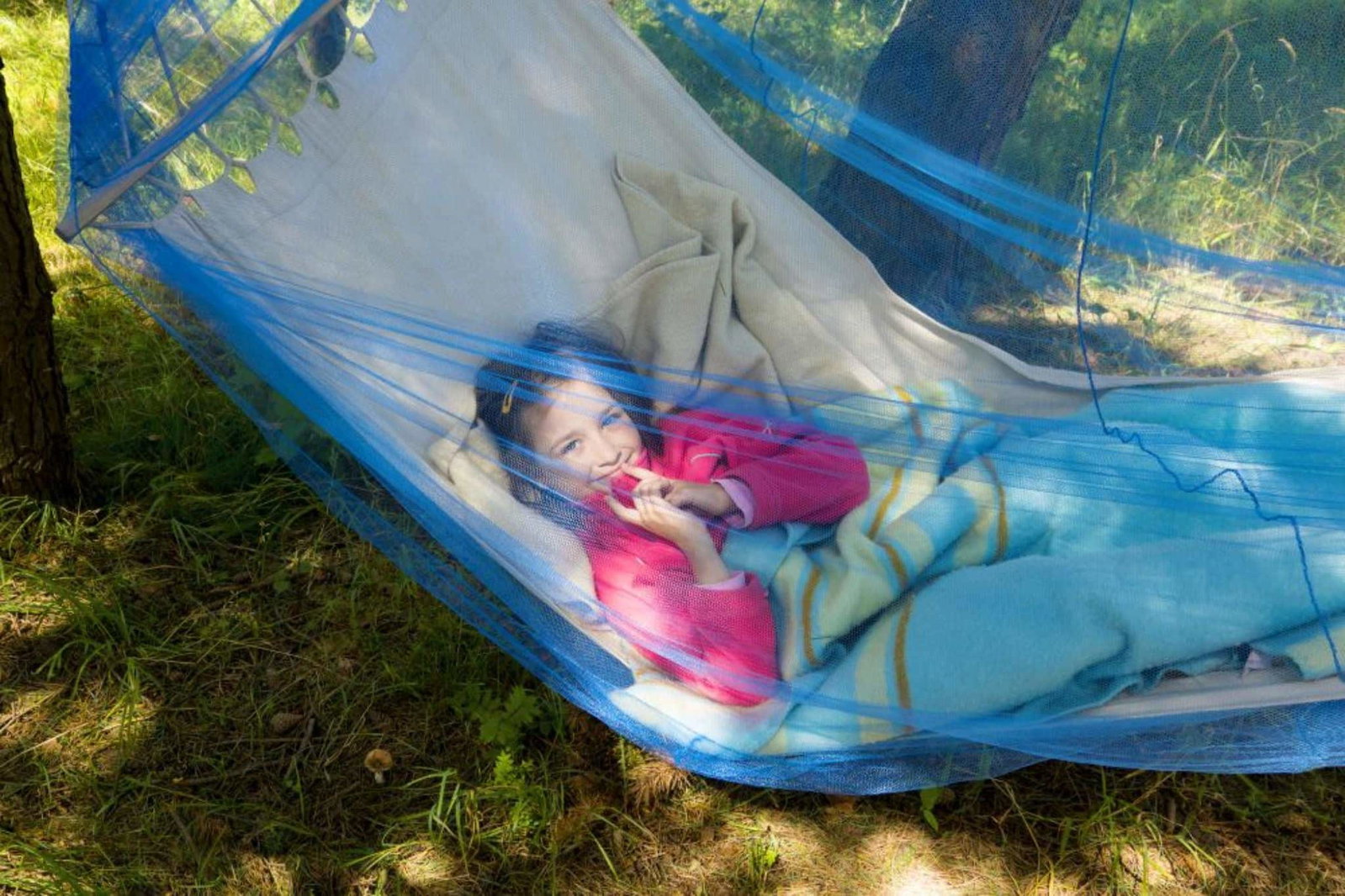 The best mosquito net for safe protection against biting pests